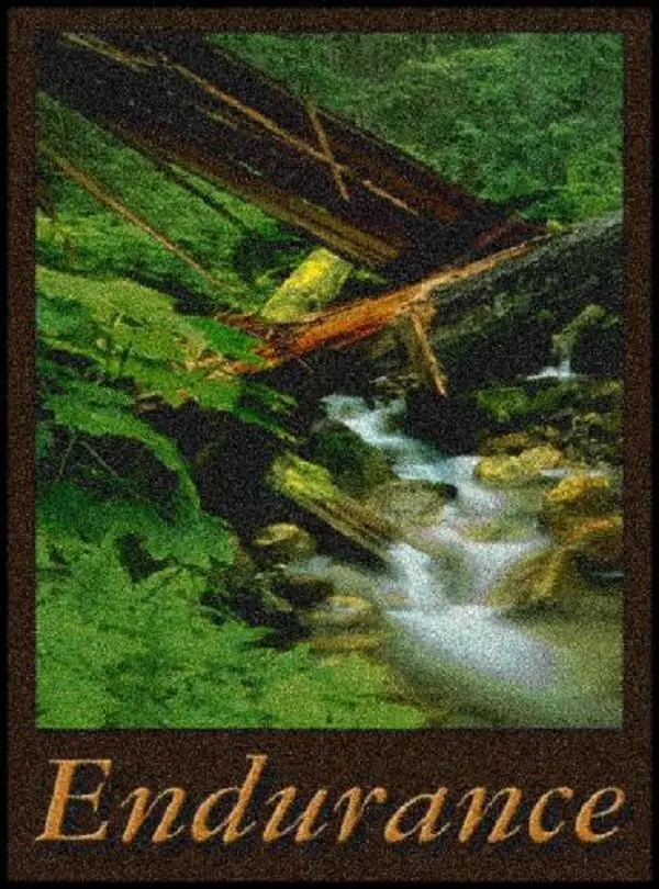 ENDURANCE Indoor Floor Mat -  (PDM003)