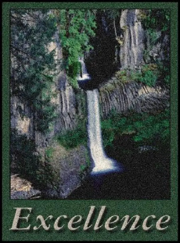 EXCELLENCE  Indoor Floor Mat -  (PDM001)