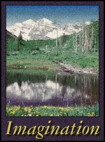 IMAGINATION Indoor Floor Mat -  (PDM007)