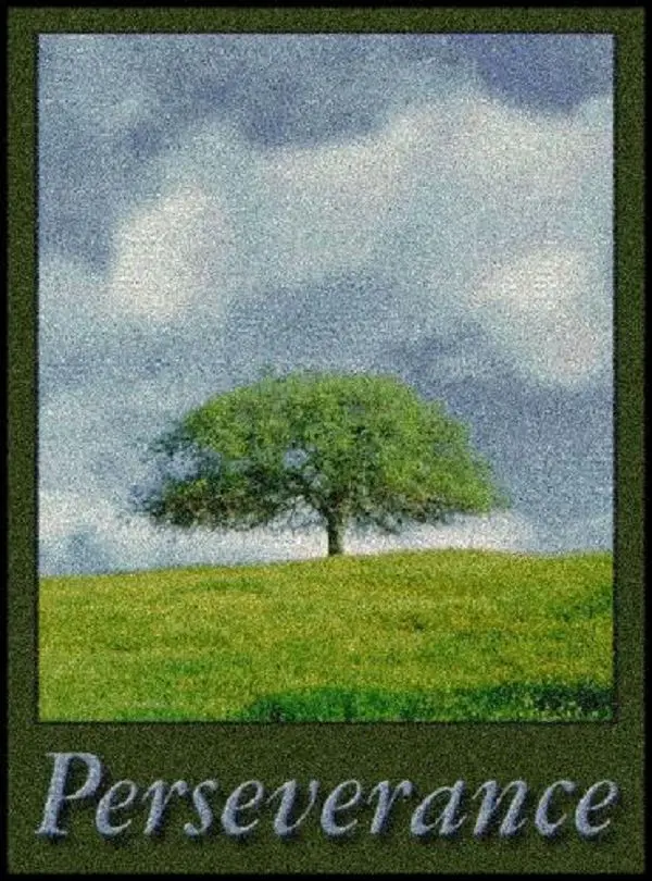 PERSEVERANCE Indoor Floor Mat -  (PDM008)