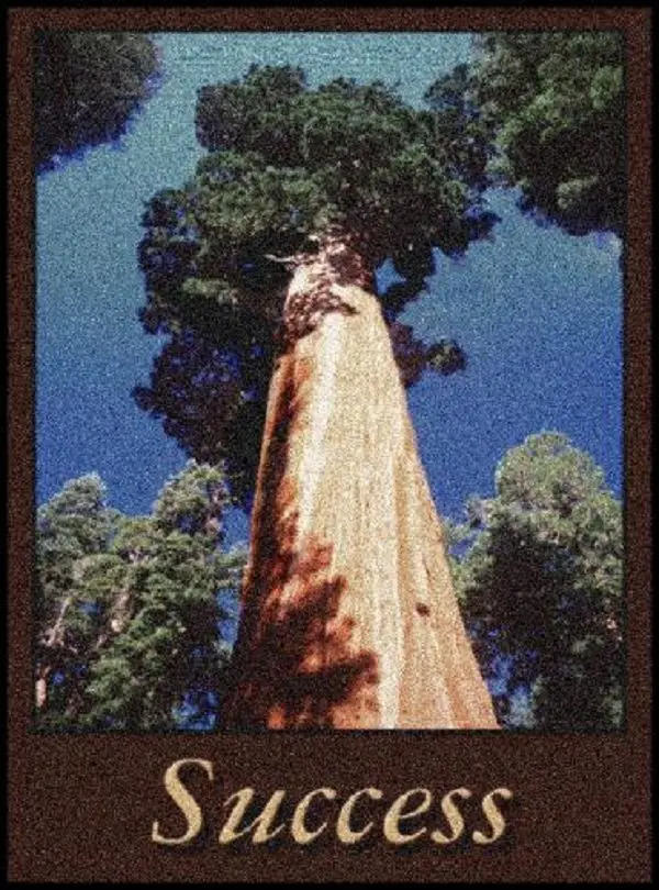 SUCCESS Indoor Floor Mat -  (PDM005)